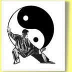 Le TAIJI QUAN, Art Martial, Technique de longue VIE